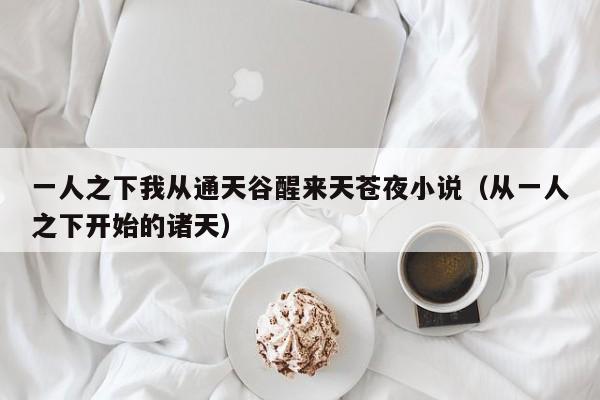 一人之下我从通天谷醒来天苍夜小说(从一人之下开始的诸天)