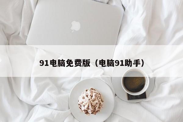 91电脑免费版(电脑91助手)