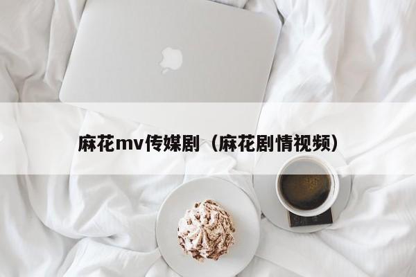 麻花mv传媒剧(麻花剧情视频)