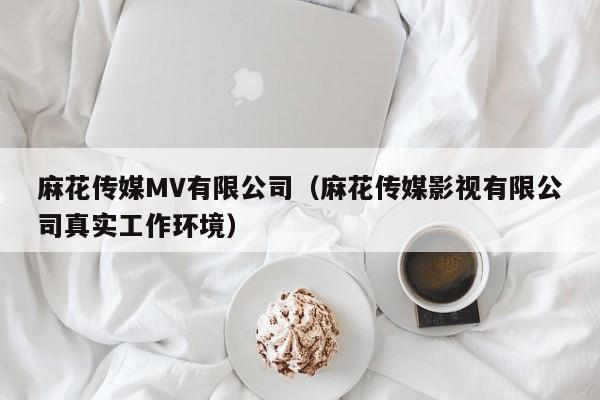 麻花传媒MV有限公司(麻花传媒影视有限公司真实工作环境)
